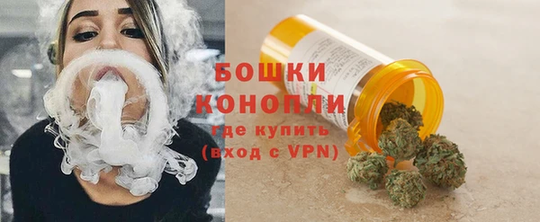 индика Остров