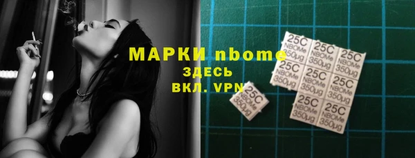 дмт Ельня
