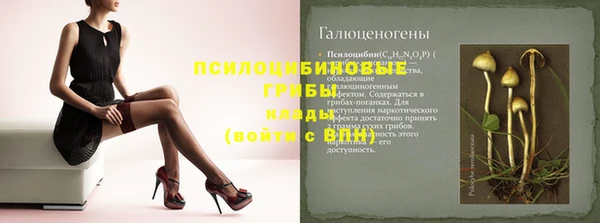 ПСИЛОЦИБИНОВЫЕ ГРИБЫ Зеленокумск