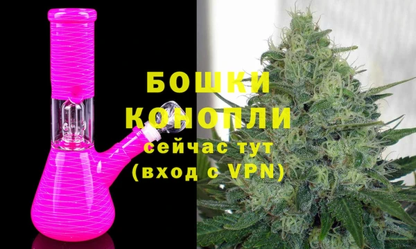 соль ск Осинники