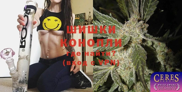 соль ск Осинники