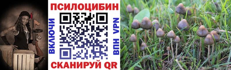 Галлюциногенные грибы Cubensis  Оханск 